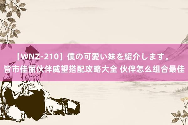 【WNZ-210】僕の可愛い妹を紹介します。 皆市佳丽伙伴威望搭配攻略大全 伙伴怎么组合最佳