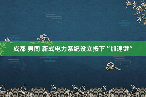 成都 男同 新式电力系统设立按下“加速键”