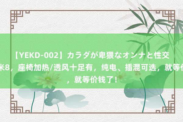 【YEKD-002】カラダが卑猥なオンナと性交 轴距2米8，座椅加热/透风十足有，纯电、插混可选，就等价钱了！