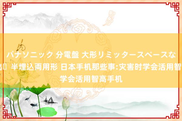 パナソニック 分電盤 大形リミッタースペースなし 露出・半埋込両用形 日本手机那些事:灾害时学会活用智高手机