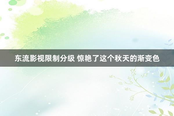 东流影视限制分级 惊艳了这个秋天的渐变色