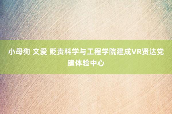 小母狗 文爱 贬责科学与工程学院建成VR贤达党建体验中心