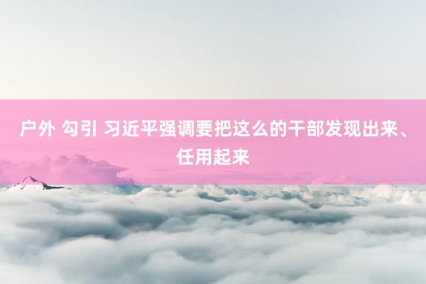 户外 勾引 习近平强调要把这么的干部发现出来、任用起来