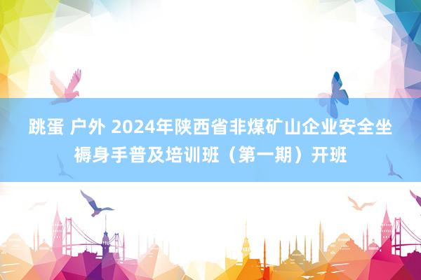 跳蛋 户外 2024年陕西省非煤矿山企业安全坐褥身手普及培训班（第一期）开班