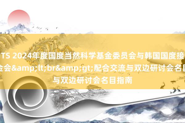 TS 2024年度国度当然科学基金委员会与韩国国度接头基金会&lt;br&gt;配合交流与双边研讨会名目指南