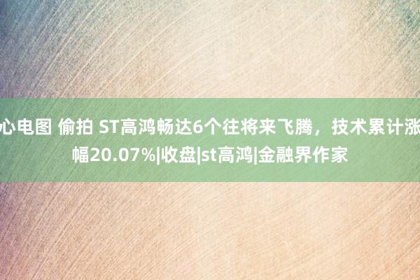 心电图 偷拍 ST高鸿畅达6个往将来飞腾，技术累计涨幅20.07%|收盘|st高鸿|金融界作家