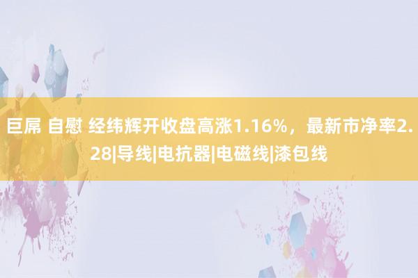 巨屌 自慰 经纬辉开收盘高涨1.16%，最新市净率2.28|导线|电抗器|电磁线|漆包线